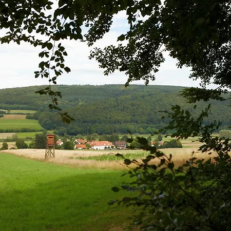 Zum Lindenwirt Gæstehus